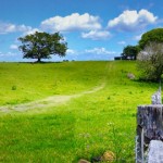 Ballina, New South Wales