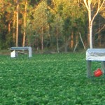 Caboolture, Queensland