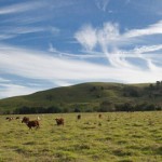 Lismore, New South Wales