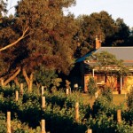 Mclaren Vale, South Australia