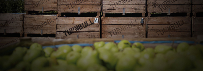Fruit Picking Jobs in Australia