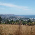 Fruit Picking Jobs in Ulverstone, Tasmania