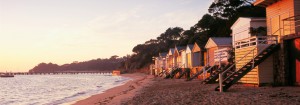 Mornington Peninsula Ultimate Tour Bunyip Tours