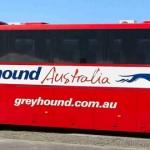Greyhound Australia Offer