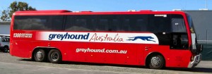 Greyhound Australia Offer