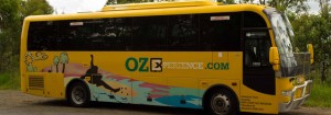 Oz Experience Offer