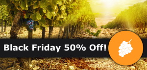 FPJ Black Friday