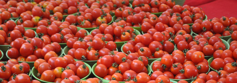 backpacker tomatoes